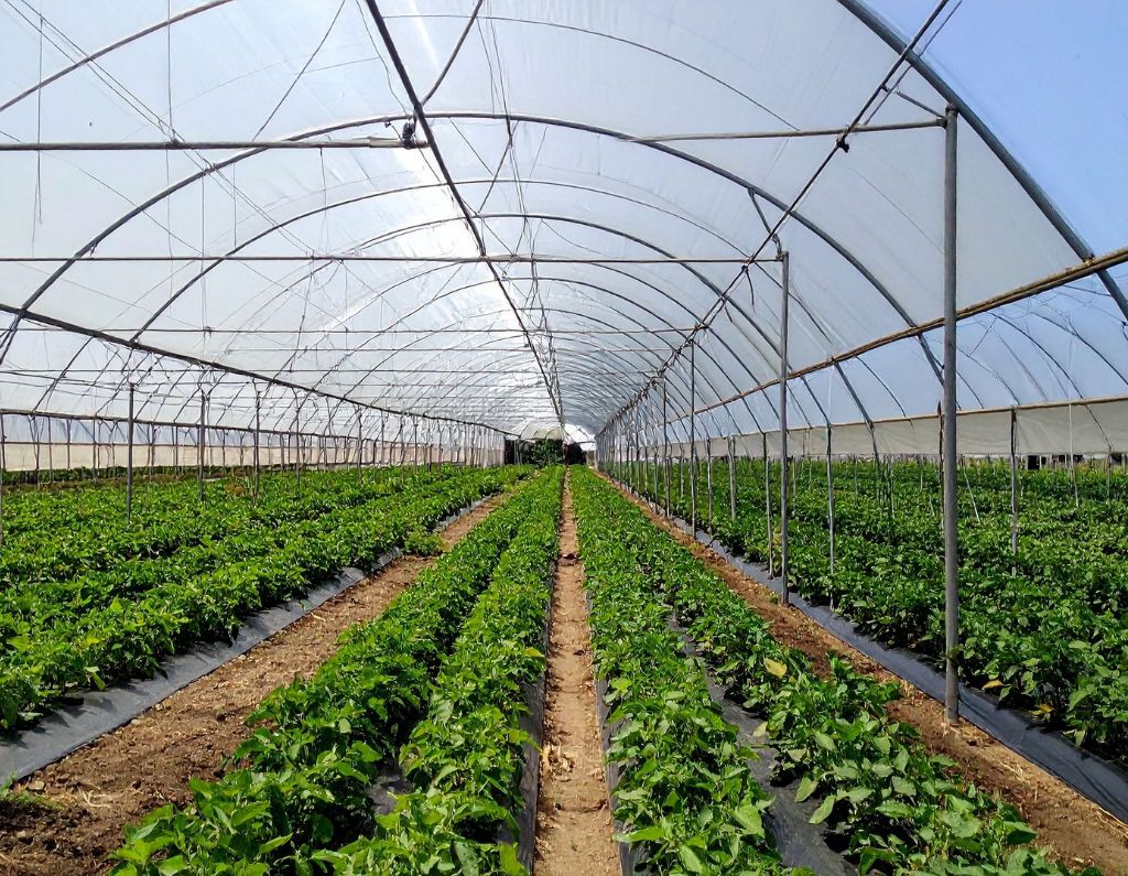 Claerosol Industries Served 2 (11) AER air purifier for greenhouses