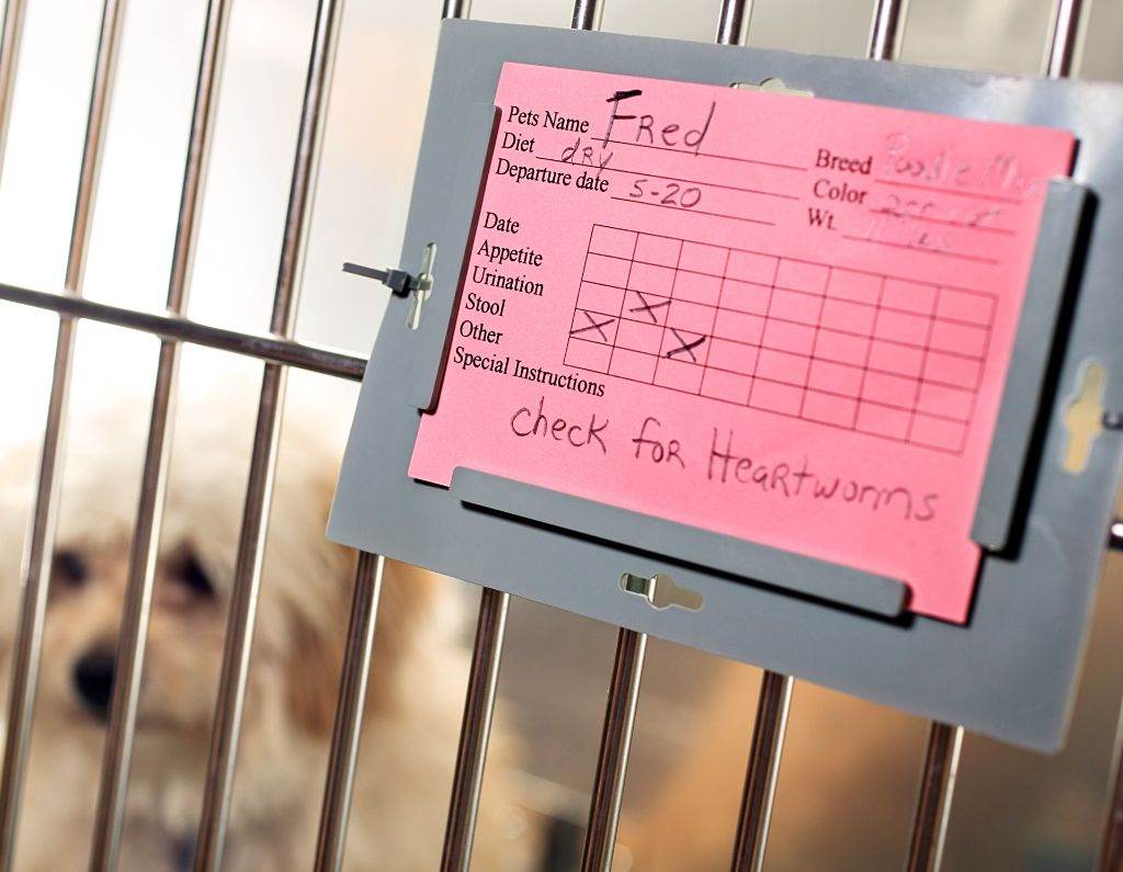 AER air purifier for veterinary clinics