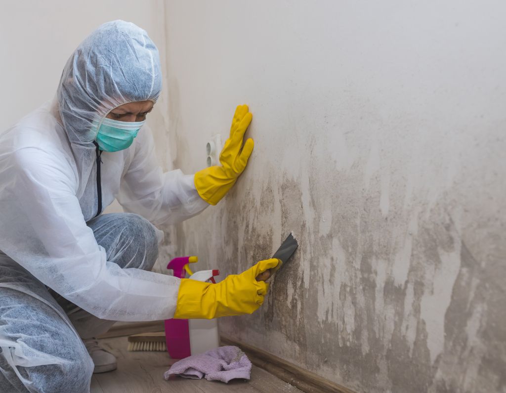 AER air purifier for mold remediation