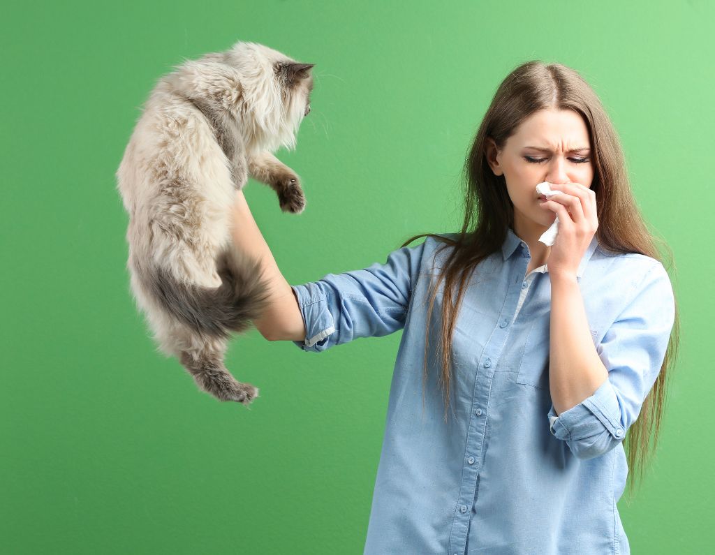 AER air purifier for allergy sufferers
